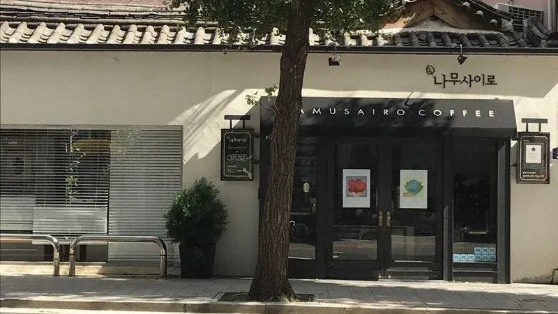 Namusairo