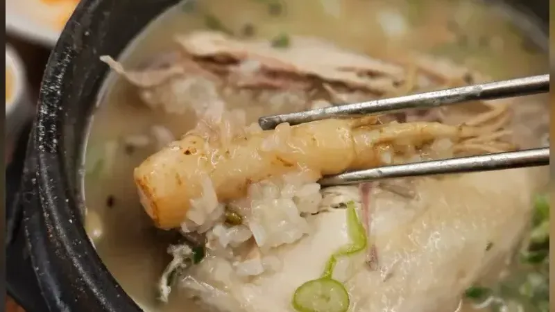 Tosokchon Samgyetang