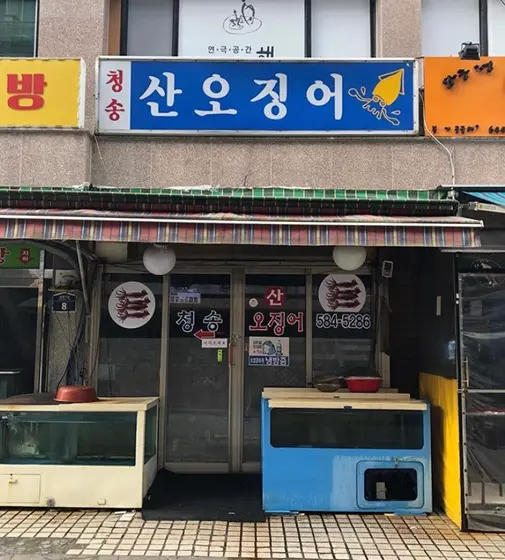 Cheongsongsan Ojingeo — 1