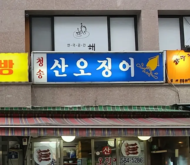Cheongsongsan Ojingeo — 2