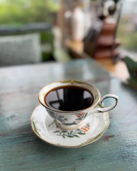 Joseph's Coffee Tree — 1
