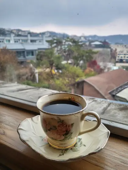 Joseph's Coffee Tree — 3