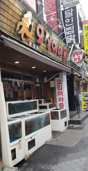 Ojingeo Maeul — 2